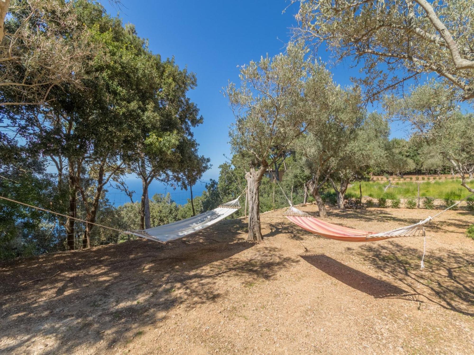 Ferienhaus Beautiful In Valldemossa (Mallorca)