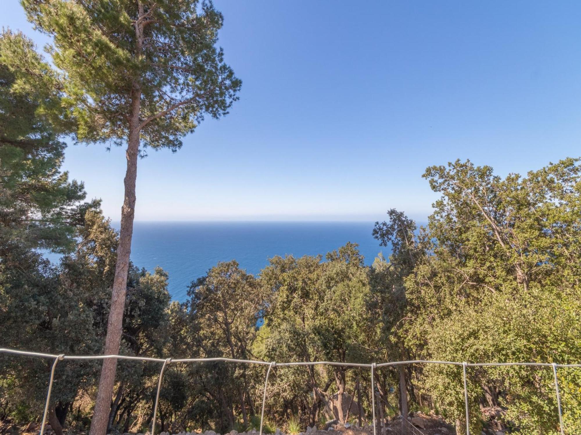 Beautiful In Valldemossa (Mallorca)